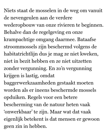Niets staat de mosselen in de weg om vanuit de nevengeulen aan de verdere wederopbouw van onze rivieren te beginnen. Behalve dan de regelgeving en onze krampachtige omgang daarmee. Bataafse stroommossels zijn beschermd volgens de habitatrichtlijn dus je mag ze niet kweken, niet in bezit hebben en ze niet uitzetten zonder vergunning. En zo’n vergunning krijgen is lastig, omdat baggerwerkzaamheden gestaakt moeten worden als er ineens beschermde mossels opduiken. Regels voor een betere bescherming van de natuur heten vaak ‘onwerkbaar’ te zijn. Maar wat dat vaak eigenlijk betekent is dat mensen er gewoon geen zin in hebben.