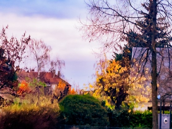 Urban forest