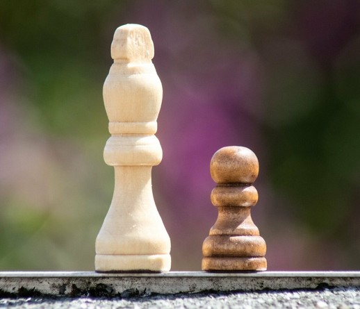 Twee schaakstukken naast elkaar: een witte koning en een zwarte pion. De schaakstukken zijn van hout, dus wit is eigenlijk heel lichtbruin en zwart is donkerbruin. De achtergrond is kleurrijk onscherp.