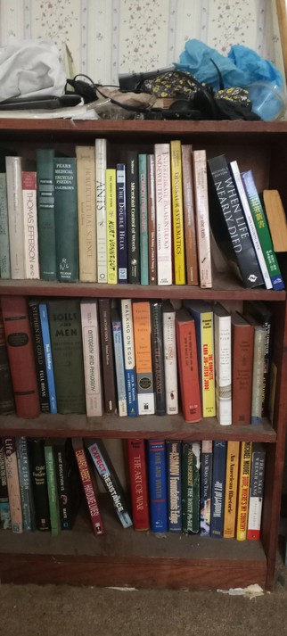 picture of the books on my bookshelf