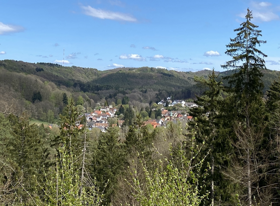 Blick auf Eppenbrunn im Pfälzerwald | Foto: Stefan Frerichs /RheinWanderer.de