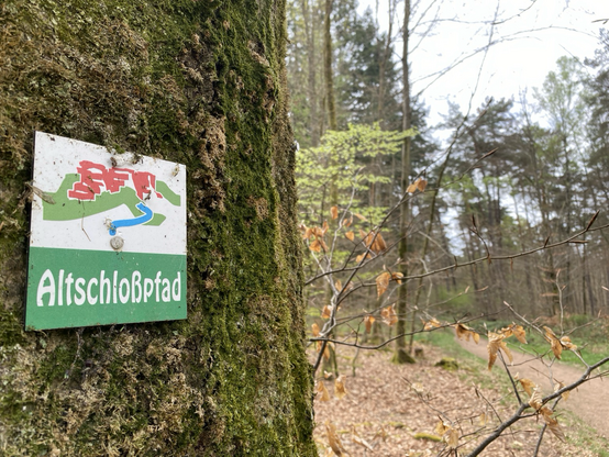Zeichen des Altschloßpfads bei Eppenbrunn im Pfälzerwald | Foto: Stefan Frerichs / RheinWanderer.de