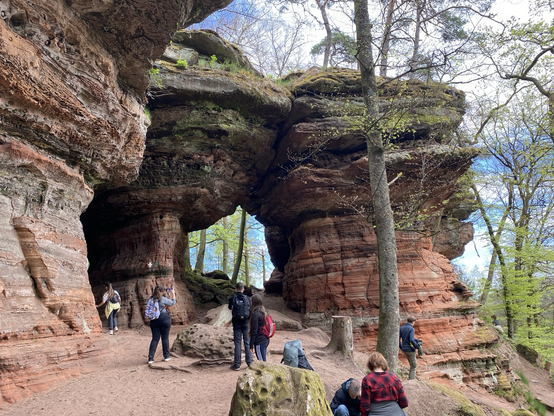 Felsentor der Altschlossfelsen bei Eppenbrunn im Pfälzerwald | Foto: Stefan Frerichs / RheinWanderer.de