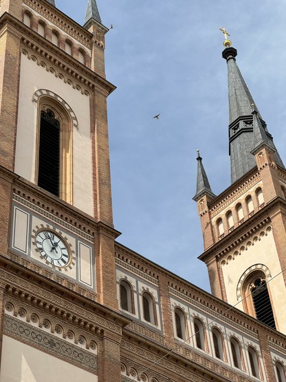 Zwei Türme der Altlerchenfelder Kirche und dazwischen fliegt ein Turmfalke