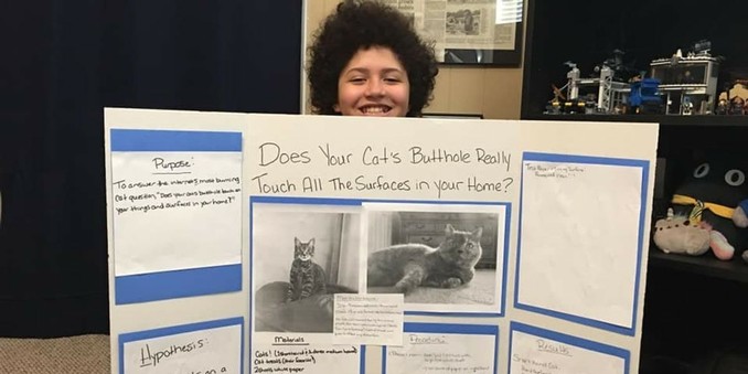 Do cat buttholes touch every surface the sit on? Science answers.