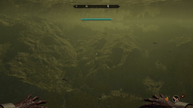 Underwater in Lake Rumare, the water has a green hue to it, some small fish are swimming around. An O2 meter ui element is at the top of the screen, it does not deplete, as Ponders is an Argonian.