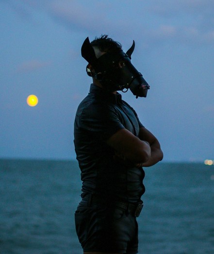 A person stands in sharp silhouette at the edge of a tranquil lake, arms folded firmly across their chest. They wear a striking black leather horse hood, complete with upright, pointed ears and a sculpted, elongated muzzle adorned with subtle metallic hardware that glints faintly in the twilight. The hood fits snugly, accentuating the contours of their head and neck, while their short, tousled hair peeks out at the crown. 

Through the openings of the hood, the person’s eyes catch the ambient light, shining vividly and creating an intense, almost otherworldly gaze that pierces through the mask’s shadowed contours. The glint of their eyes adds a layer of life and mystery beneath the crafted leather exterior.

Their outfit is a sleek, short-sleeved leather shirt paired with matching high-waisted leather shorts, the glossy material hugging their athletic frame and reflecting the cool blue tones of the evening.

The scene is bathed in the soft, dusky light of twilight, with the sky painted in gradients of deepening blue and hints of lavender. Wispy clouds drift overhead, adding texture and depth to the vast expanse above. To the left, a luminous full moon hangs low over the horizon, glowing with a warm golden hue and casting a gentle reflection on the rippling surface of the sea. The water stretches out endlessly, its surface a tapestry of subtle waves and shifting colors, from deep teal near the shore to inky blue farther out. Faint city lights twinkle in the far distance on the