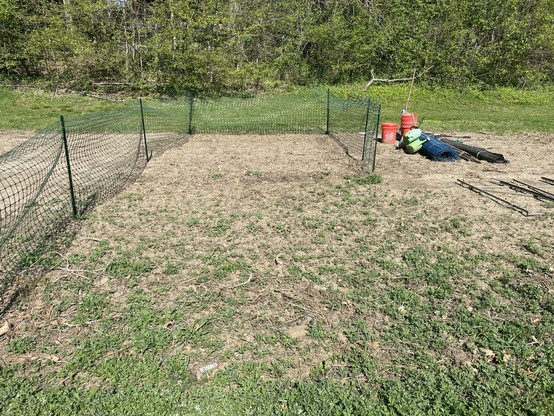 Fenced garden plot covered with hundreds of happy rosettes.