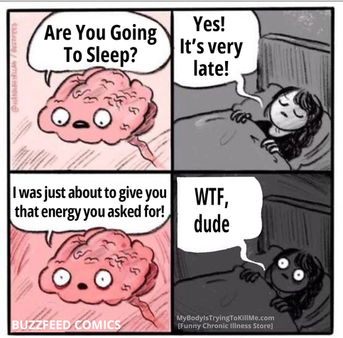 1st panel: brain saying are you going to sleep?
2nd panel: girl trying to sleep 'yes, it's very late!'
3rd panel: brain saying I was just about to give you that energy you asked for!'
4th panel: girl with eyes wide open, in pitch dark, saying 'wtf, dude'