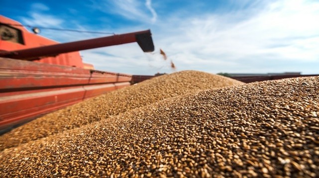 Improving weather weighs on markets