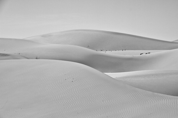 sand dunes in the desert in black and white