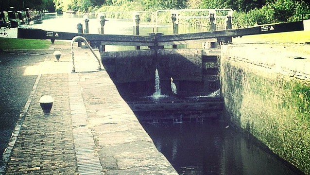 A photo titled "Fishing on the Lock", taken near Bridge 180, Widewater Bridge by LeeWilshire on Flickr.