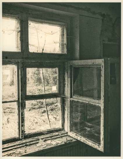 This is a black-and-white photograph created using the lith print technique, traditionally developed in a darkroom. The image depicts an old, decaying window in what appears to be an abandoned building. The window frame is wooden, chipped, and heavily weathered, with layers of peeling paint. One of the panes is open, revealing the outdoors—a forested area with thin, leafless branches and tangled underbrush.

The atmosphere is moody and melancholic, amplified by the high contrast and grainy texture characteristic of lith prints. The light filtering through the dirty, cracked glass creates a hazy glow, catching on cobwebs in the upper window corners. The windowsill is cluttered with fragments of broken glass and paint chips, further emphasizing neglect and decay