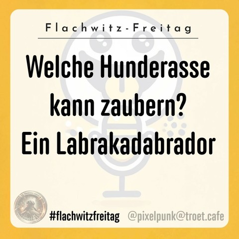 A humorous graphic featuring the text "Welche Hunderasse kann zaubern? Ein Labrakadabrador," set against a yellow background with a cartoon-like design. The image is labeled with the hashtag #flachwitzfreitag and includes social media handles