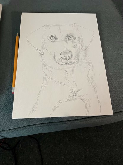 Rough sketch of Labrador Retriever on gessoed wood panel with a pencil laying on the surface beside the panel.