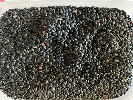 A container of the black lentils.