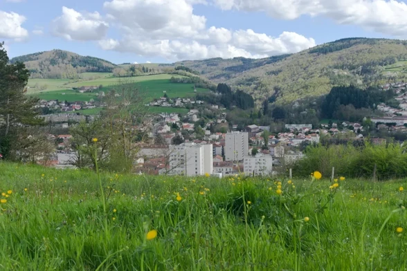 Au premier plan, un champ d'herbes bien vertes et de fleurs jaunes. En arrière-plan, la vue plonge dans une vallée où l'on distingue immeubles et maisons. Face à nous, des montagnes arborées. Au-dessus, un ciel bien nuageux.