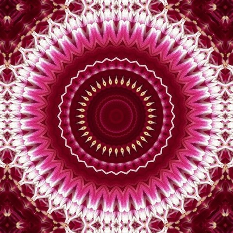 abstract mandala pattern in pinks and white