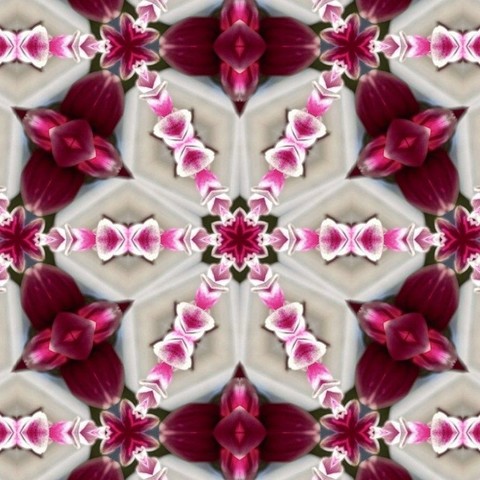 abstract six fold symmetry pattern in pink and white looks like a flower