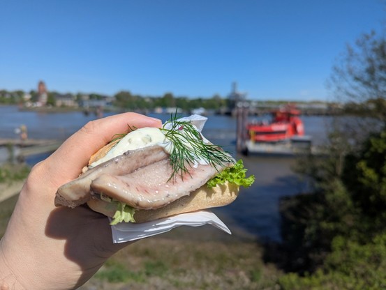 Hand mit Fischbrötchen, im Hintergrund die Fähre 64