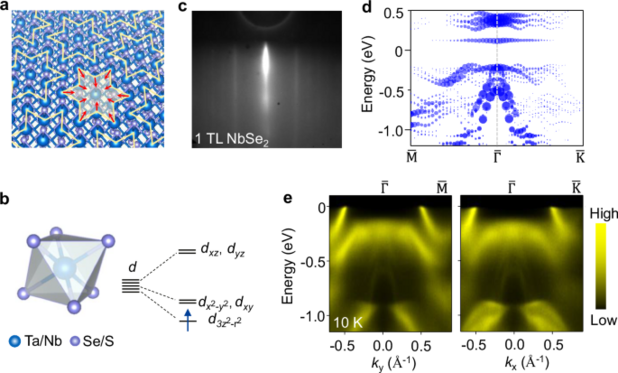 Orbital textures and evolution of correlated insulating state in monolayer 1T phase transition metal dichalcogenides