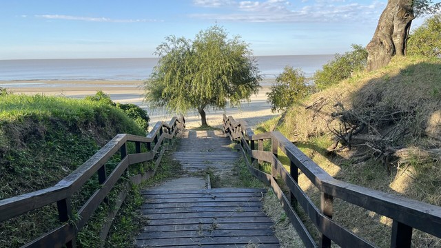 Una bajada a la playa , se madera , termina con un árbol