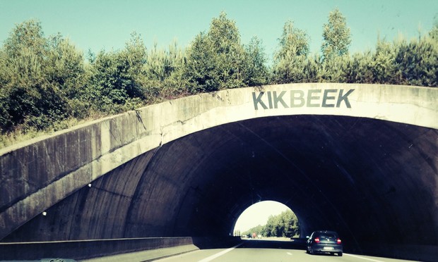 Aus dem Auto heraus fotografierte bewachsene Wildbrücke mit der Aufschrift „Kikbeek“ unter blauem Himmel.