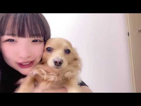 SHOWROOM  鈴木 恋奈（SKE48 チームS） 2025年04月19日22時46分08秒