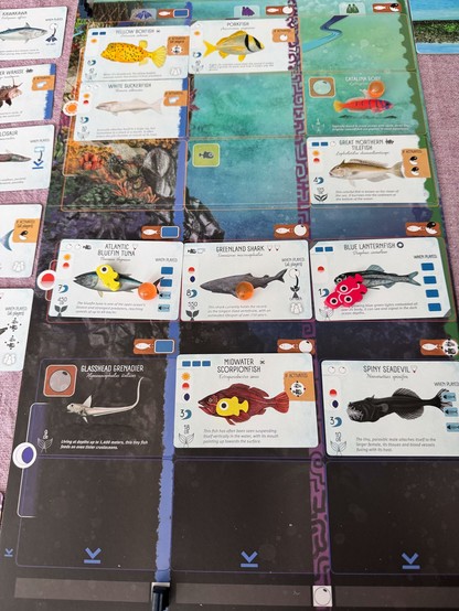 Das Bild zeigt eine Anordnung von Spielkarten, die verschiedene Meerestiere darstellen. Jede Karte zeigt ein einzigartiges Meerestier mit einem Bild, dem Namen und einer kurzen Beschreibung. Die Karten sind in einem 3x4-Grid angeordnet und haben verschiedene Farben und Designs. Einige der dargestellten Tiere sind der "Yellow Boxfish", der "Porkfish", der "Catalina Goby", der "Great Northern Tilefish", der "Atlantic Bluefin Tuna", der "Greenland Shark", der "Blue Lanternfish", der "Glasshead Grenadier", der "Midwater Scorpionfish" und der "Spiny Seadevil". Die Karten sind auf einem Untergrund mit einem Meeresthema platziert, der die Umgebung der dargestellten Tiere widerspiegelt.
