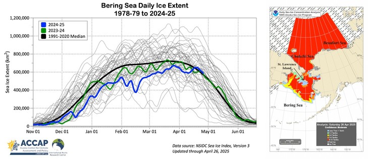 Left: Bering Sea daily sea ice extent each season 1978-79 to 2024-25 with the past two seasons and the smoothed 1991-2020 median highlighted. Right: NWS Alaska Region sea ice concentration analysis to April 26, 2025.