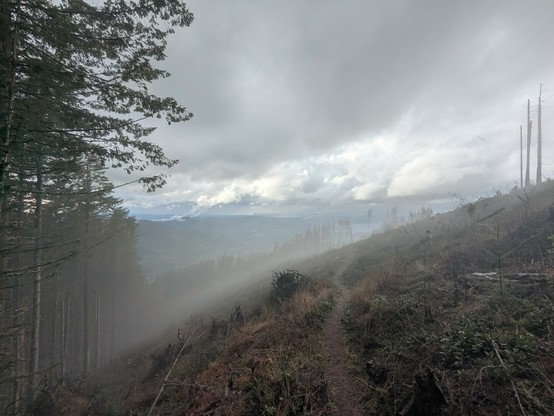 A mountain slope with a clear cut, standing trees to the left and in the background. View of a big lake far away behind the trees. There is a thin layer of fog just above the ground. A trail winds along the slope.