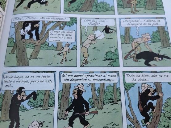 Tintin matando un mono y destrozándolo