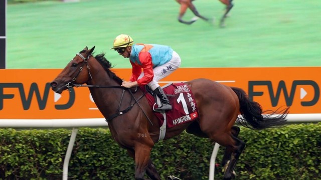 Kiwi star’s manners cost him in Hong Kong mega-money race