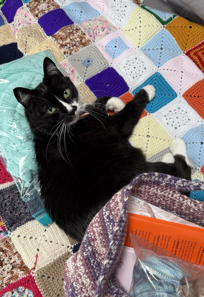 A tuxedo cat in among crafting, knitting, crochet