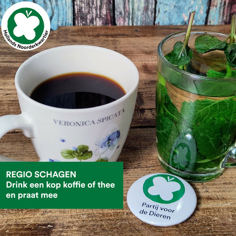 Een mok met zwarte koffie en een glas met verse munt thee naast elkaar op een houten eettafel met daarvoor een button met het logo van de Partij voor de Dieren en de tekst (witte letters op een groen vlak):
Regio Schagen
Drink een kop koffie of thee en praat mee.
