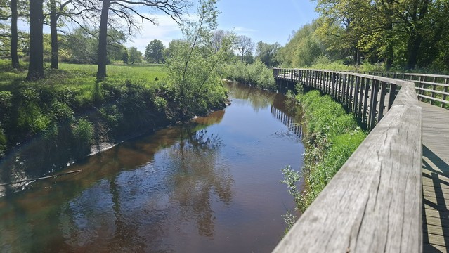 Foto der Dinkel. Am linken Ufer stehen Büsche und Bäume. Das Wasser ist moorig braun gefärbt. Der Fluss fließt ruhig in einem Bogen von der Bildmitte nach vorne links. Am rechten Ufer folgt ein Holzsteg mit Geländer dem Bogen. Dahinter stehen Bäume.