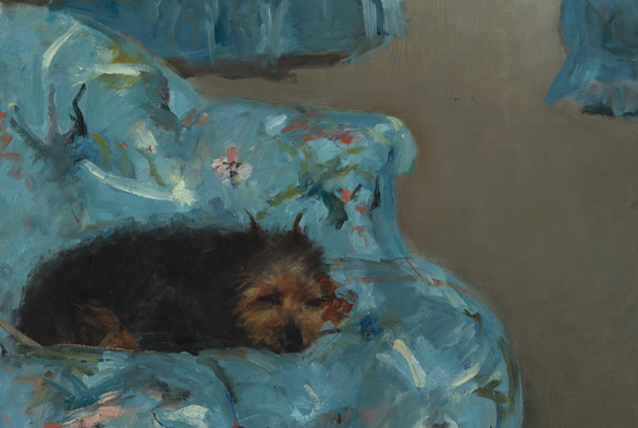 a close-up of the cute furry little brown dog