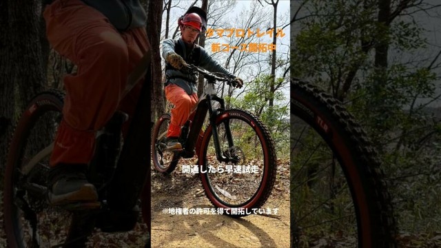 【MTBトレイル整備】タマプロトレイルGコース開拓中の一幕【チェーンソー】 #mtb #トレイル #豊後大野市 #タマプロトレイル #チェーンソー  #ハスクバーナ