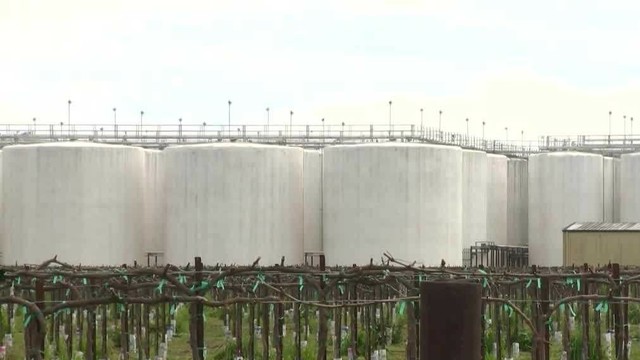 Major California wine maker to layoff nearly 150 employees in Ceres