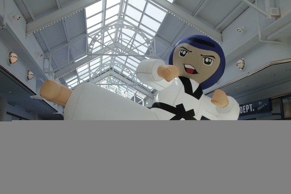 Tae Kwon Do bloe up at mall