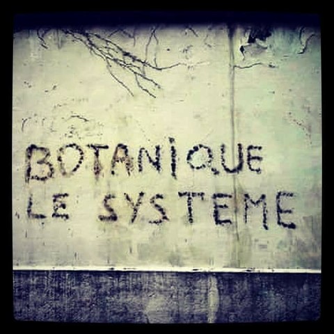 BOTANIQUE LE SYSTÈME