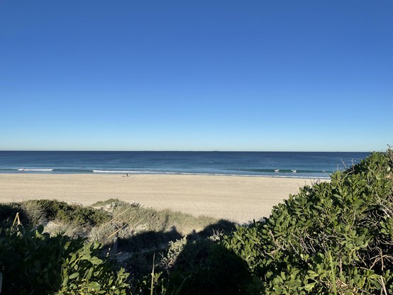 A photo looking out to sea. A clear blue sky, clean sand and some green shrubbery in the foreground. On the waves you can see some people surfing. Some small waves breaking on the beach. It was lovely.