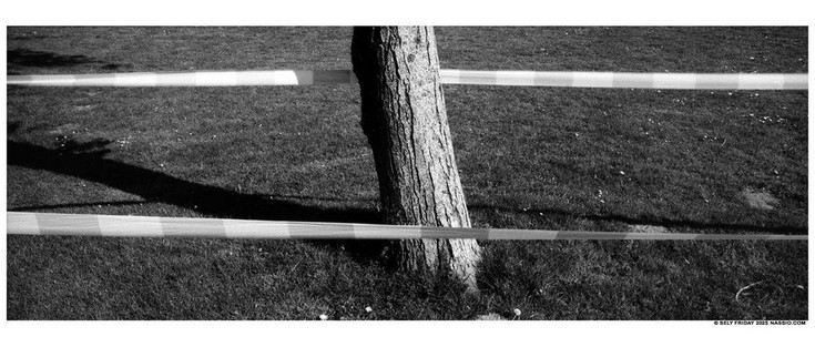 Black and white panorama photograph of a tree trunk in a grassy lawn with warning tape, in front of an behind the tree, stretching from left to right horizontally. Only the bottom meter of the tree is visible.