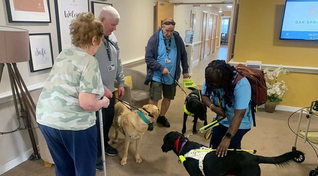 Guide Dogs Bring Joy And Learning To Liverpool Care Home