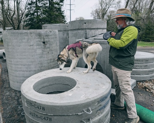Husky Tonttu investigates a cluster of large cylindrical cement items, the ones behind nearly as tall as the person holding Tonttu's leash. The dog is standing on a stack of cement circles, about 1.5m across, with a large offset hole making a vertical tunnel down to the ground, which Tonttu sniffs.