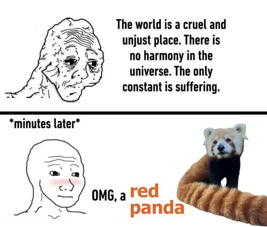 😔: “The world is a cruel and unjust place. There is no harmony in the universe. The only constant is suffering.”

*minutes later*

 *cute red panda appears*

😳: “OMG, a red panda..”