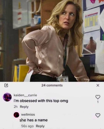 *Image of actress Gillian Anderson with a satin shirt*
Comment under the picture: 'I'm obsessed with this top omg'
Second comment: "She has a name"