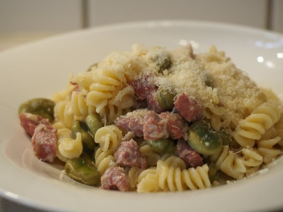 Eine Portion der Pasta mit einer Sauce aus Puffbohnen und Salsiccia. Die Portion wurde mit etwas geriebenem Grana Padano bestreut.
