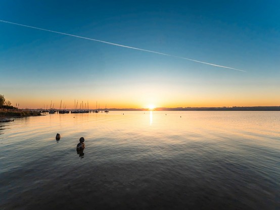 The image captures a breathtaking sunset over a calm lake or bay. The sun is just touching the horizon, creating a golden glow that reflects brilliantly across the water's surface. The sky transitions from deep blue at the top to warm orange and yellow hues near the horizon.

To the left side of the image, there's a marina with several sailboats moored at docks, their masts creating a forest of vertical lines against the sunset. The water is exceptionally calm, with gentle ripples reflecting the sunset colors.

In the foreground, a few buoys or posts can be seen protruding from the water. The distant shoreline appears as a dark silhouette against the bright sunset, with hills or mountains visible in the background.

A single contrail from an airplane stretches across the upper portion of the blue sky, adding a subtle human element to this otherwise natural scene.

The overall atmosphere is peaceful and serene, capturing that magical moment when day transitions to evening.