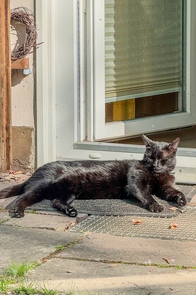 Eine schwarze Katze liegt entspannt auf einer Fußmatte vor einer offenen Tür und genießt die warme Sonne. Ihre Augen sind geschlossen, sie wirkt vollkommen zufrieden.